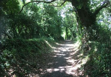 Tour Wandern Sarzeau - 2019-08-11 PENVINS -LANDREZAC - Photo