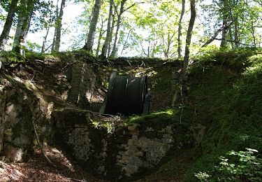 Tocht Stappen Bonac-Irazein - tunnels du Biros ou sentier Decauville - Photo