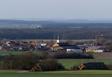 Excursión A pie Prichsenstadt - Rundwanderweg Hase - Photo