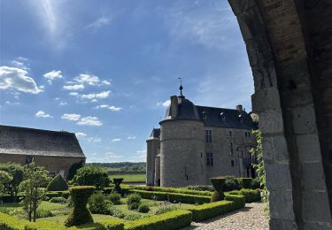 Percorso Marcia Rochefort - Le château de Lavaux-Sainte-Anne - Photo