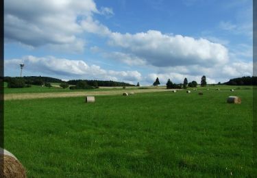 Tour Zu Fuß Neuenstein - Eisenberg-Siegelweg - Photo