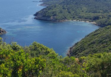 Randonnée Marche Hyères - porc cros - Photo
