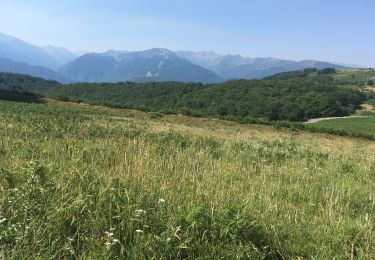 Trail Walking Caussou - Col du Chioula  - Photo