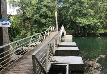 Excursión Bici de montaña Chasseneuil-du-Poitou - Chasseneuil vers Saint Benoît par Poitiers  - Photo