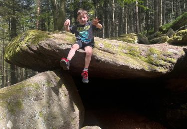 Percorso sport Barr - Barr grotte du druide mont St Odile  - Photo