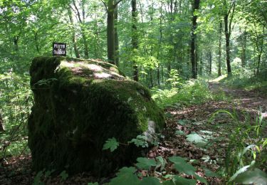 Randonnée Marche Anhée - La Pierre du Diable - Photo