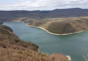 Trail Walking Moirans-en-Montagne - Moirans-belvedere Palards - Photo