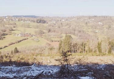 Tour Wandern Weismes - thirimont - Photo