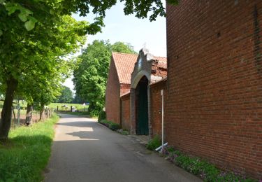 Tocht Te voet Beringen - Paal Rode driehoek - Photo