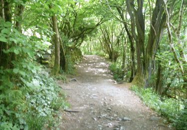 Percorso A piedi Craven - Ingleton Waterfalls Trail - Photo