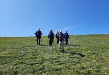 Trail Walking Saint-Geniez - St Geniez boucle  320 + - Photo