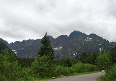 Randonnée A pied Małe Ciche - Zazadnia - Palenica Białczańska - Photo