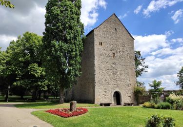 Percorso A piedi Rothenburg ob der Tauber - Rothenburger W3 - Kleiner Taubertalweg - Photo