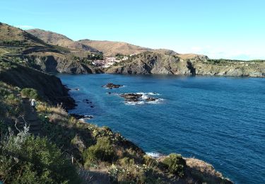 Excursión Senderismo Banyuls-sur-Mer - Banyuls Cerbère  - Photo