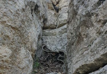 Trail Walking Tourves - LE CARAMY FAIT - Photo