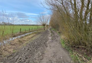 Randonnée Marche Dixmude - Blankaart 24 km - Photo