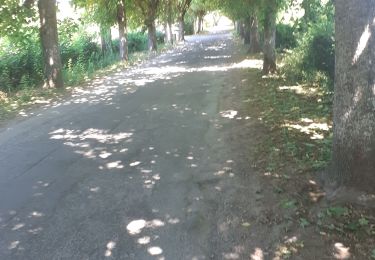 Trail Walking Villandry - villandry - Photo