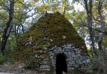 Trail Walking Saignon - Saignon, Auribeau, Castellet & Rocher des Abeilles - Photo