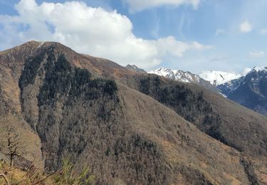 Excursión Senderismo Melles - Tuc de Sénévièse 1785m en a/r - Photo