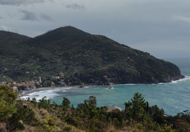 Tour Wandern Levanto - Levanto et sa coline  - Photo