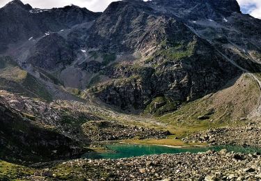 Percorso A piedi Valtournenche - Alta Via n. 1 della Valle d'Aosta - Tappa 10 - Photo