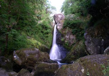 Tocht Te voet The Municipal District of Wicklow - Waterfall Walk - Photo