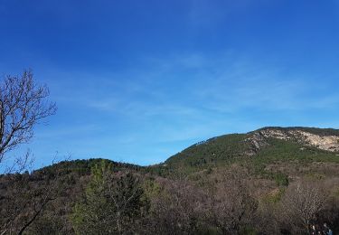 Tour Wandern Saint-Étienne-de-Gourgas - Forêt de Parlatges - Roc de l'Eglise - Photo