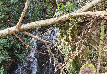 Tour Wandern Saint-Martin-la-Méanne - St-Martin la Méanne_St- Martial-Entraygues - Photo