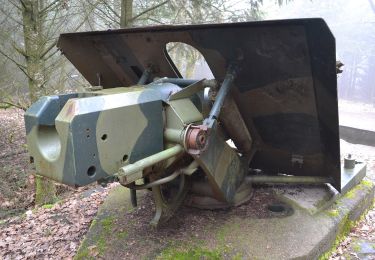 Tocht Te voet Boulaide - Auto-Pédestre Boulaide 1 - Photo