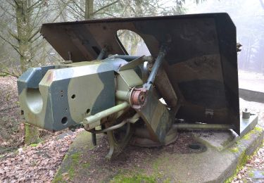 Tour Zu Fuß Bauschleiden - Auto-Pédestre Boulaide 1 - Photo