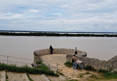 Excursión Bici eléctrica Bayon-sur-Gironde - bayon blaye - Photo