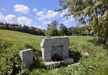 Trail On foot Tröstau - Wanderweg 10 Tröstau - Photo