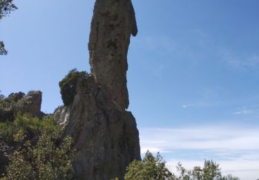 Trail Walking La Roquebrussanne - Massif de la Loube - Photo