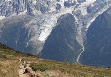 Excursión Senderismo Les Houches - Le Merlet,Bellachat,aigulkette des Houches retour par chalets Chailloux - Photo