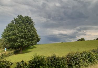 Tocht Stappen Pepinster - les 3 bois / cornesse  .  gofontaine  .  pepinster  .  cornesse  - Photo