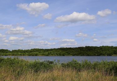 Excursión A pie Ibbenbüren - Teutoschleife Heiliges Meer - Photo