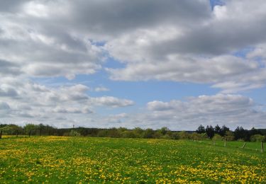 Trail On foot Warstein - Hirschberg A2 - Photo