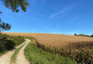 Trail Walking Saint-Sylvestre-Pragoulin - La marche des chouettes - Photo