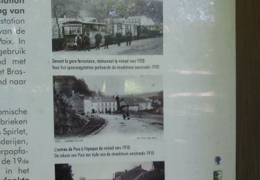 Excursión Bici de montaña Paliseul - maissin-libin-smuid-poix-villance-maissin - Photo