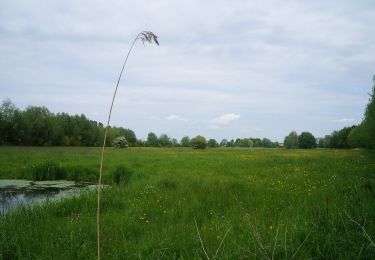 Tour Zu Fuß Sailly-sur-la-Lys - Chemin des Sûres - Photo