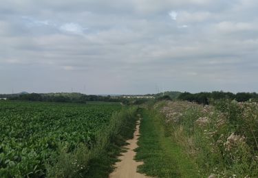 Trail Walking Bassenge - A la découverte de Wonck 🥾 - Photo