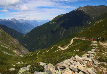 Randonnée A pied Trient - Sentier des Alpages - Photo