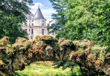 Excursión Senderismo Le Mérévillois - Cressonnières et domaine départemental de Méréville - Photo