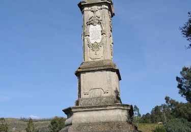 Randonnée A pied Este (São Pedro e São Mamede) - A procura da nascente do Rio Este - Photo