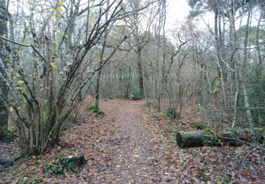 Trail Walking Pessac - Gazinet-Chemin  - Photo