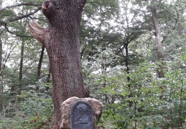 Trail Walking Esneux - le boubou tilff - Photo