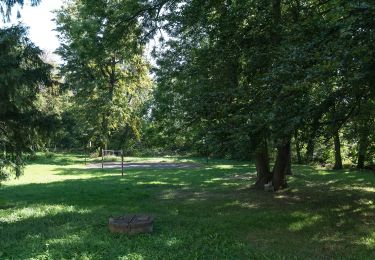 Excursión A pie Muszkowice - Zielony Las Bukowy - Starczów, stacja kolejowa - Photo