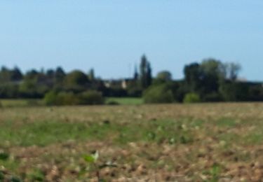 Tocht Stappen Tuffalun - Ambillou-château - Photo