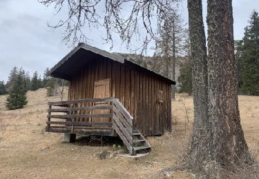 Tocht Te voet Le Vernet - Boucle route des Béliers-Le col de Mariaud-Barre des Béliers-Col de la Grisonnière-Cabane du berger - Photo