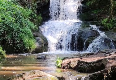 Tocht Stappen Enval - Cascades d'Enval  - Photo